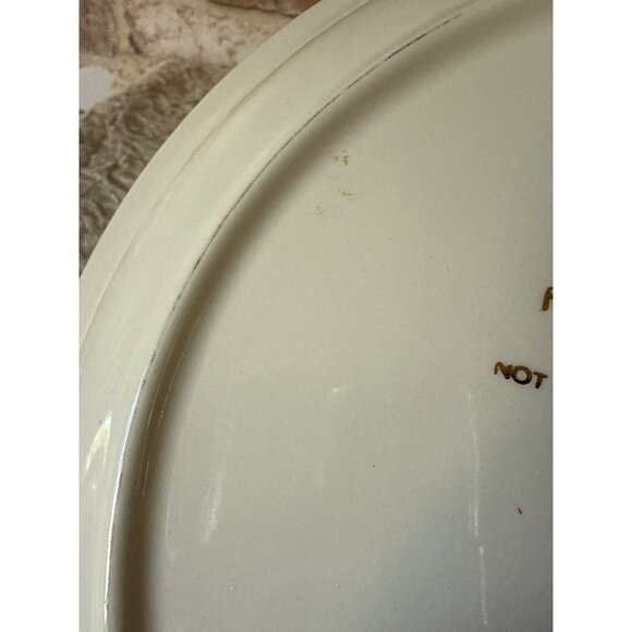 Holly Hobbie Collectors Edition Decorative Plate "The Happiest Times Vintage USA - Picture 9 of 12